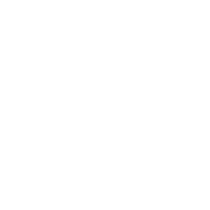 BGaming logo.