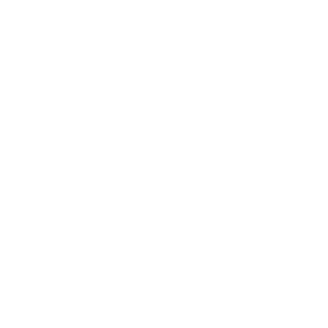 Dash logo.