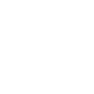 Spribe logo.