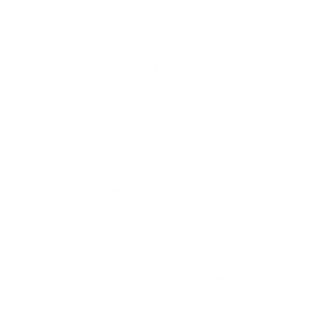 USDC logo.